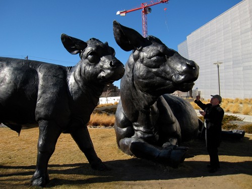 Dan Ostermiller's sculpture Scottish Cow and Calf