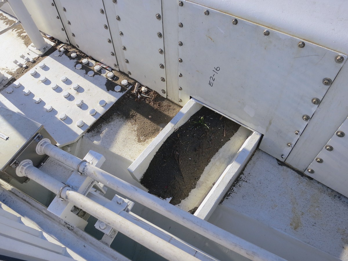Bay Bridge Assay 1: dirt collecting in crevices will host plants tomorrow.