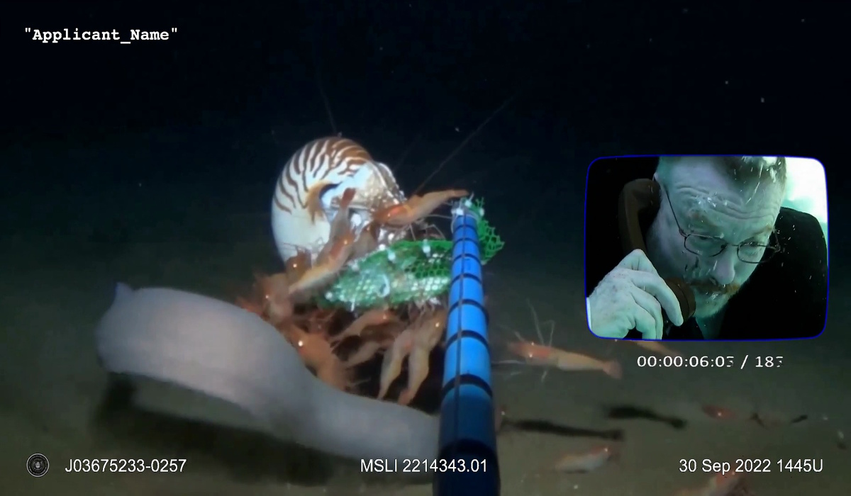 Video still from "Military Sea Life: Recruits!" showing an attempt to interview a hagfish